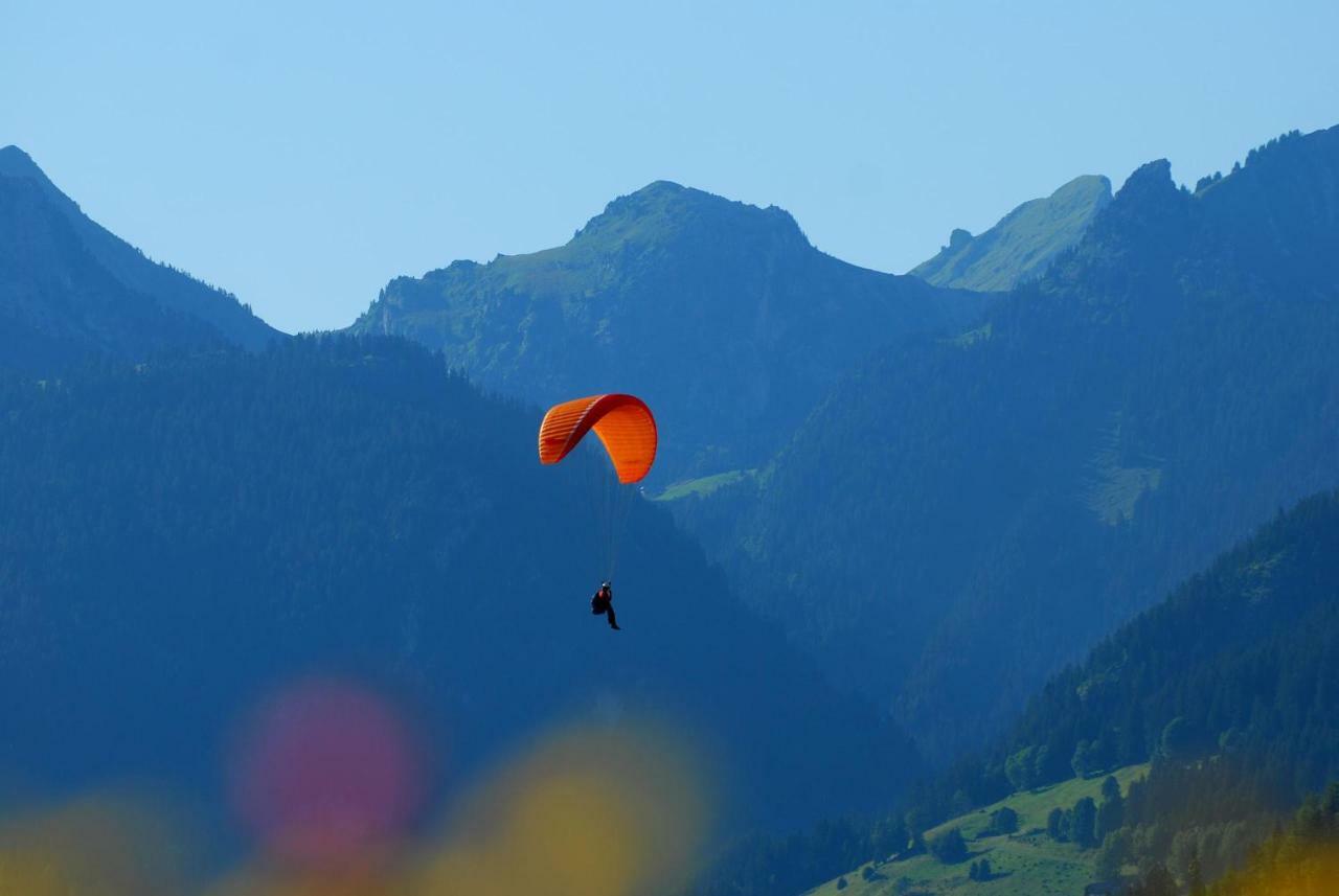 Chalet Peterets ซาโมอ็องส์ ภายนอก รูปภาพ